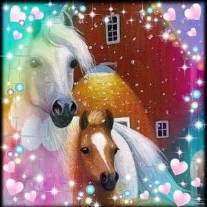 Meet your Posher, Callie